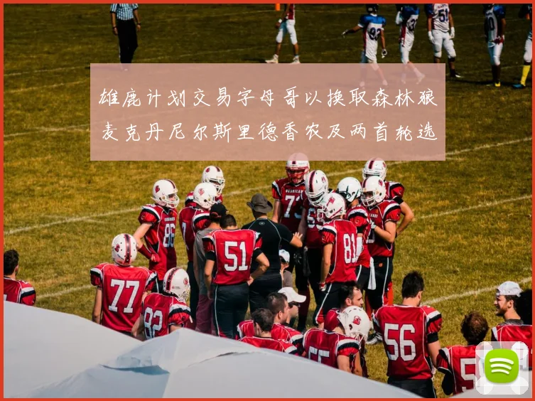雄鹿计划交易字母哥以换取森林狼麦克丹尼尔斯里德香农及两首轮选秀权