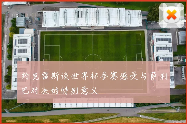 约克雷斯谈世界杯参赛感受与萨利巴对决的特别意义